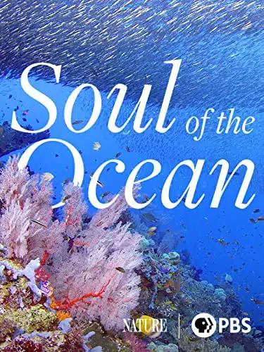 Soul of the Ocean