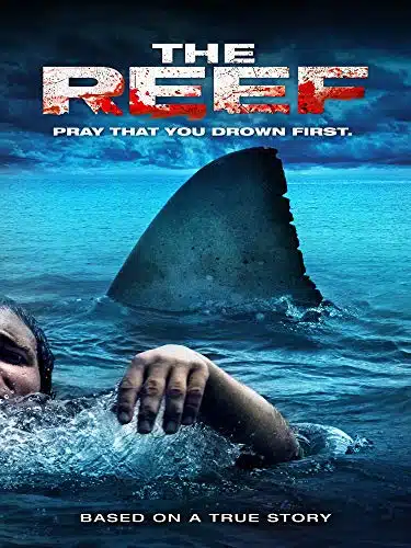 The Reef