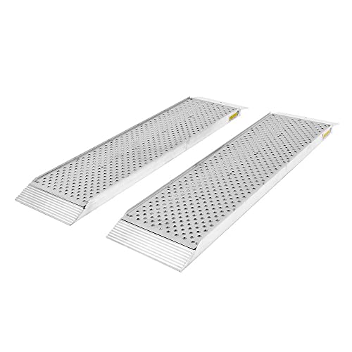 Guardian S P Dual Runner Shed Ramps with Punch Plate Surface   ide, ' Long