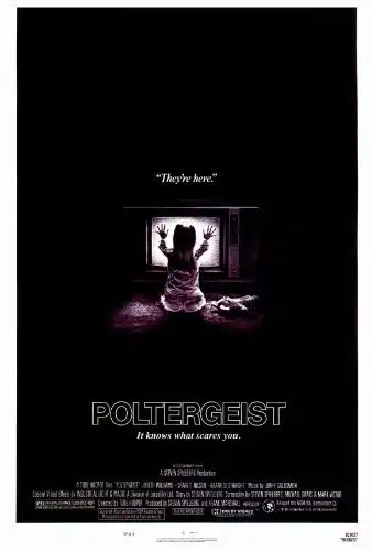 Poltergeist Movie Poster (x Inches   cm x cm) ()  (JoBeth Williams)(Craig T. Nelson)(Beatrice Straight)(Heather O'Rourke)(Zelda Rubinstein)(Dominique Dunne) by MG Poster