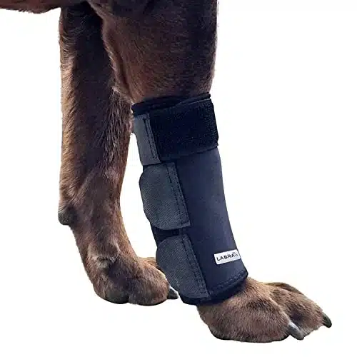 Labra Dog Canine Front Leg Compression Brace Wrap Sleeve, Protects Wounds, Braces, Heals, and Prevents Injuries and Sprains, Helps with Loss of Stability Caused by Arthritis  