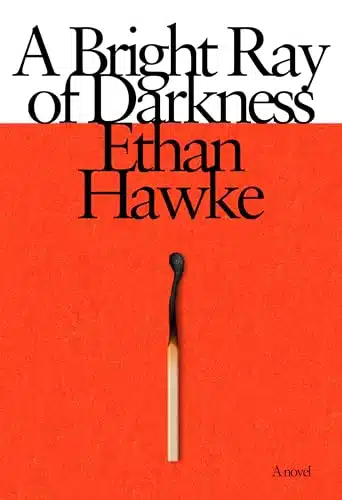 A Bright Ray of Darkness A novel